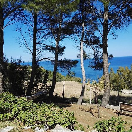 Villa Del Mar Scopello 스코펠로 외부 사진